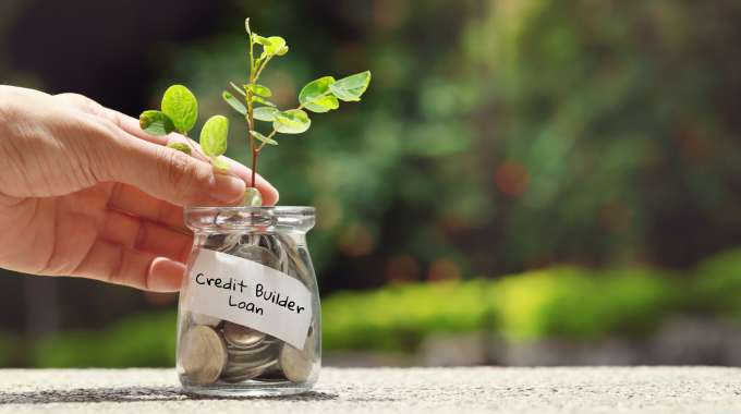 Jar of coins with sprouting plant representing improved financial situation