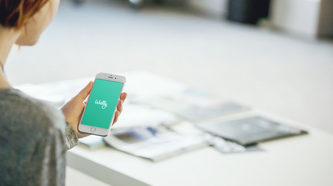 Person viewing a budget app on their smartphone